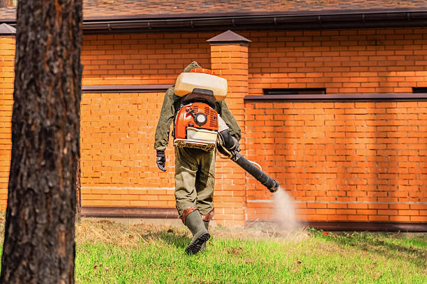 Bed Bug Clearance Verification and Documentation in Seguin